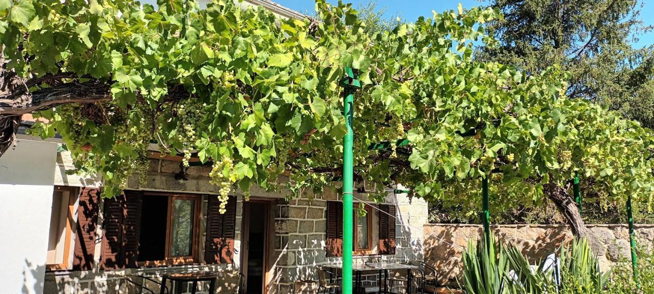 Maison d'hôtes La Parra De Pepa à Cercedilla Extérieur photo